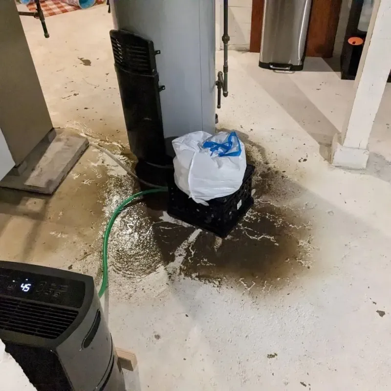 Sewage Backup Cleanup Service in Dollar Corner, WA